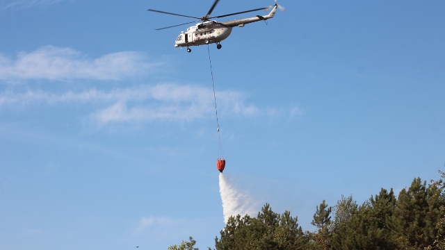 Salihiyedeki Orman Yangını güçlükle söndürüldü 