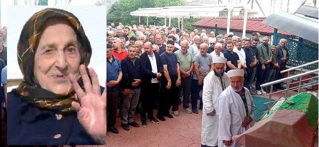 KÜÇÜCEK MAHALLESİNİN ASIRLIK ÇINARI 107 YAŞINDA HAYATA VEDA ETTİ